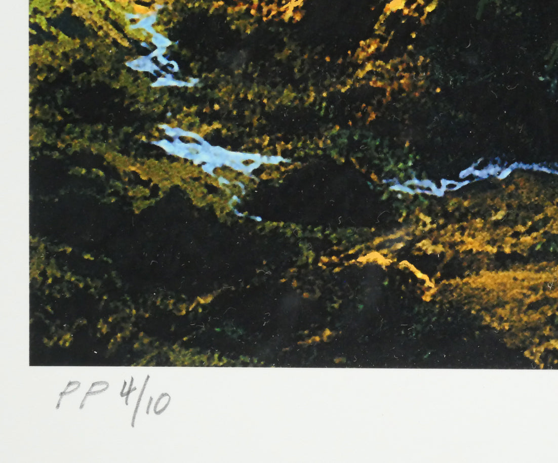 デイル　ターブッシュ（Dale　TERBUSH）「心に秘めた世界」シルクスクリーン版画　限定番号（ed,PP＝Printer’s Proof　4/10）