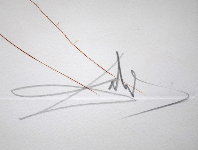 サルバドール・ダリ「シカゴⅡ」オリジナル銅版画　本人直筆鉛筆サイン拡大画像