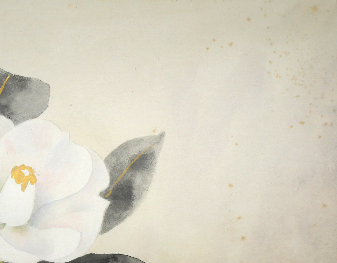 堂本印象「白きつばき」日本画・F6号　拡大画像2