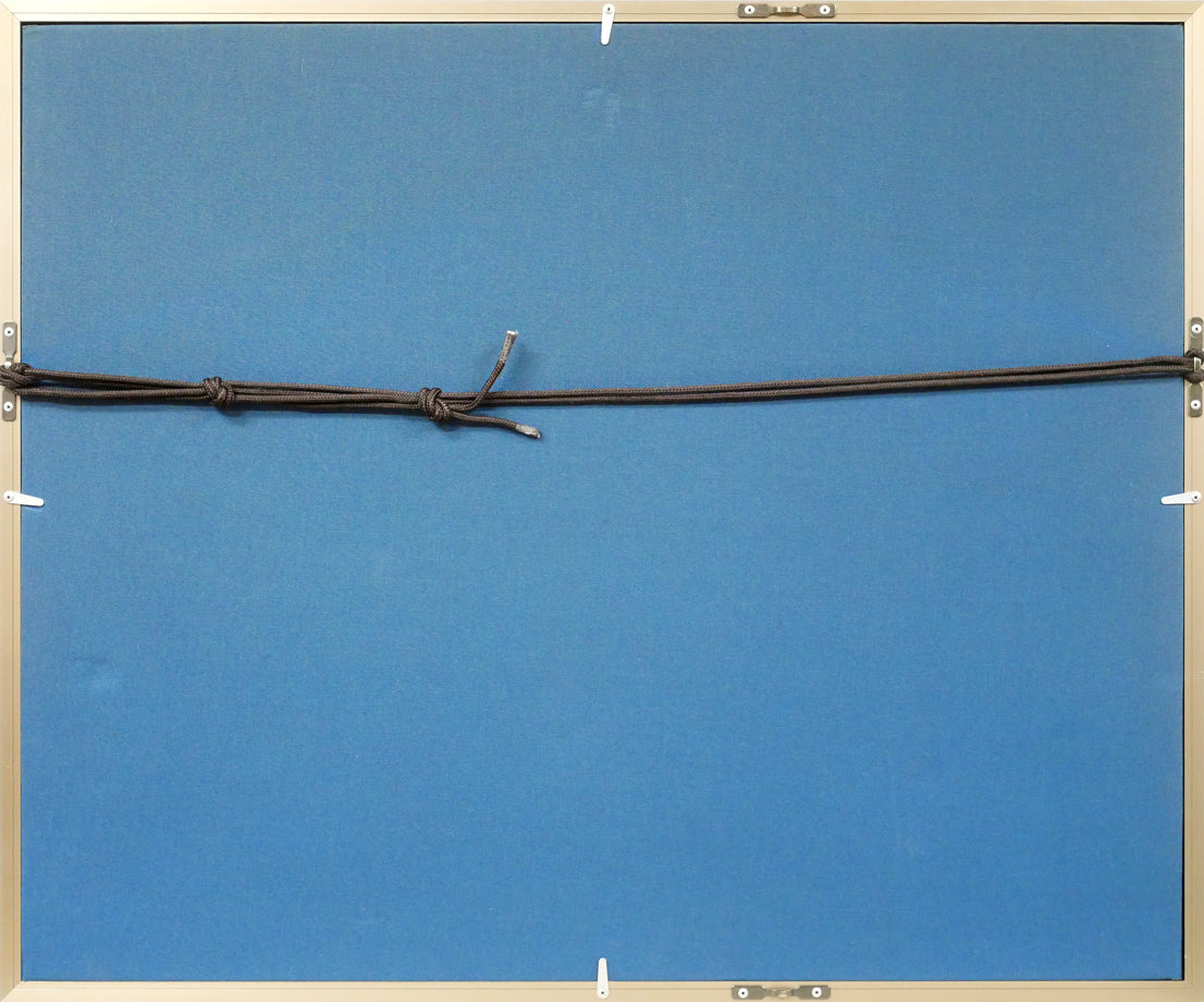 翟栄強「牡丹」墨彩画・8号　額縁裏側画像