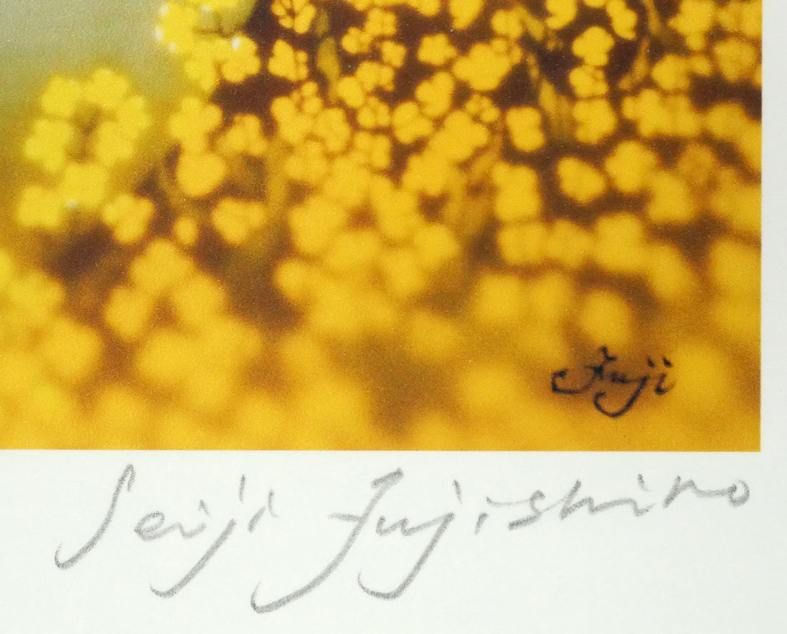 藤城清治「朧月夜（日本の愛唱歌・3月）」レフグラフ版画 絵画買取