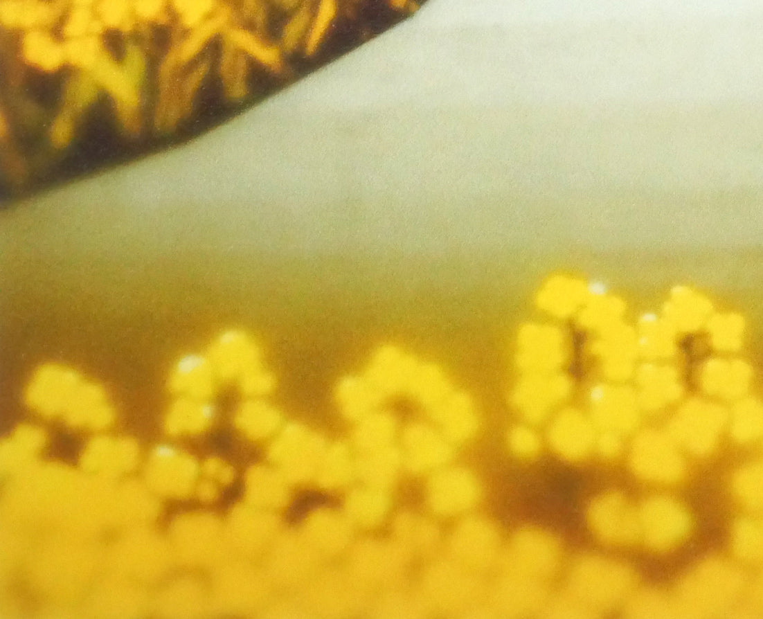 藤直晴　絵画 楽天市場】藤 直晴『無』色紙絵 : 内田画廊