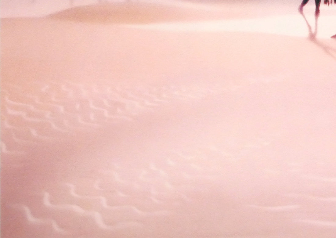 藤城清治「月の砂漠（日本の愛唱歌・9月）」レフグラフ版画　拡大画像3