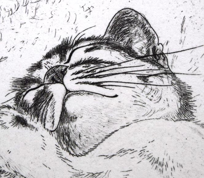 藤田嗣治「猫（未発表作）」エッチング（銅版画）　拡大画像2