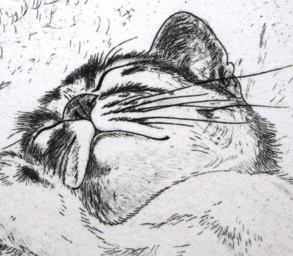 藤田嗣治「猫（未発表作）」エッチング（銅版画）　拡大画像2