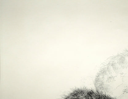 藤田嗣治「二匹の猫」リトグラフ　拡大画像1