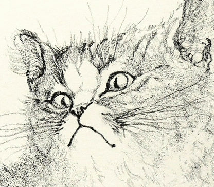 藤田嗣治「二匹の猫」リトグラフ　拡大画像5
