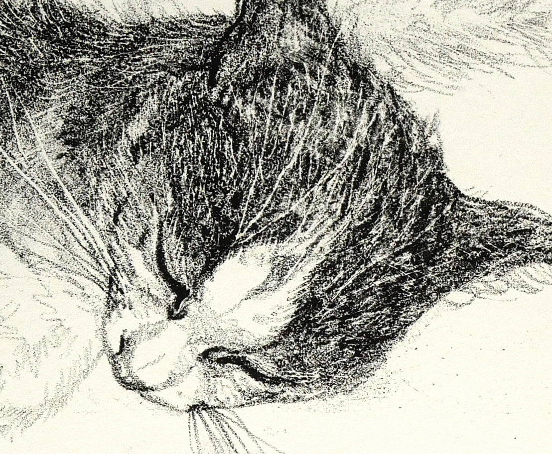 藤田嗣治「二匹の猫」リトグラフ　拡大画像6