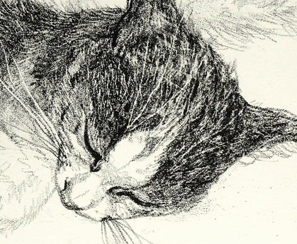 藤田嗣治「二匹の猫」リトグラフ　拡大画像6
