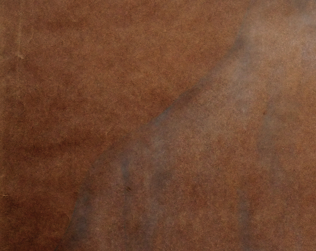 藤田嗣治「裸婦」鉛筆・コンテ・紙・8号大　拡大画像5