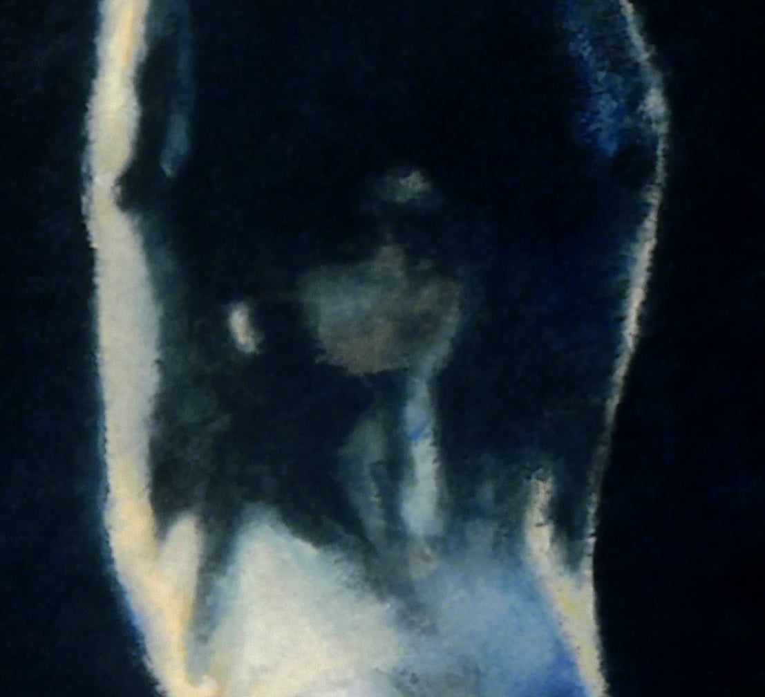 ロバート・ハインデル（Robert　HEINDEL）「Darkness & Light」シルクスクリーン版画　拡大画像2
