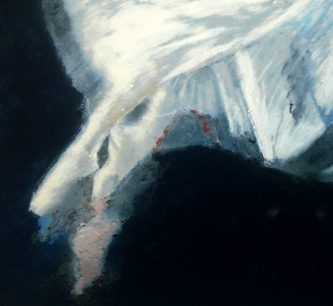 ロバート・ハインデル（Robert　HEINDEL）「Darkness & Light」シルクスクリーン版画　拡大画像4