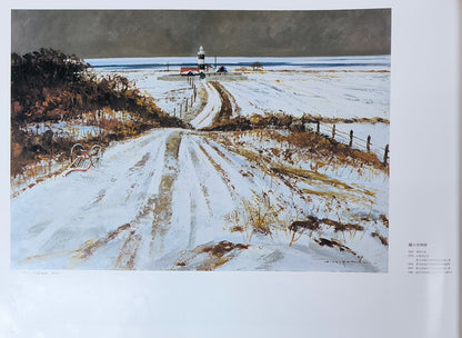 樋口洋「灯台への道　能取（画集掲載作）」油絵・M20号　掲載内容1
