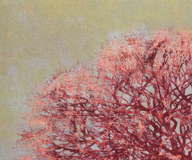 星襄一「赤い木」木版画　拡大画像4