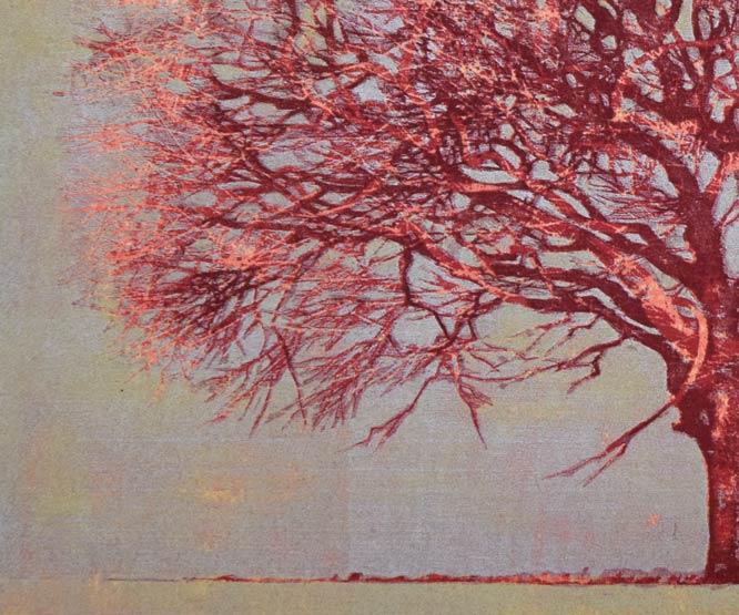 星襄一「赤い木」木版画　拡大画像6