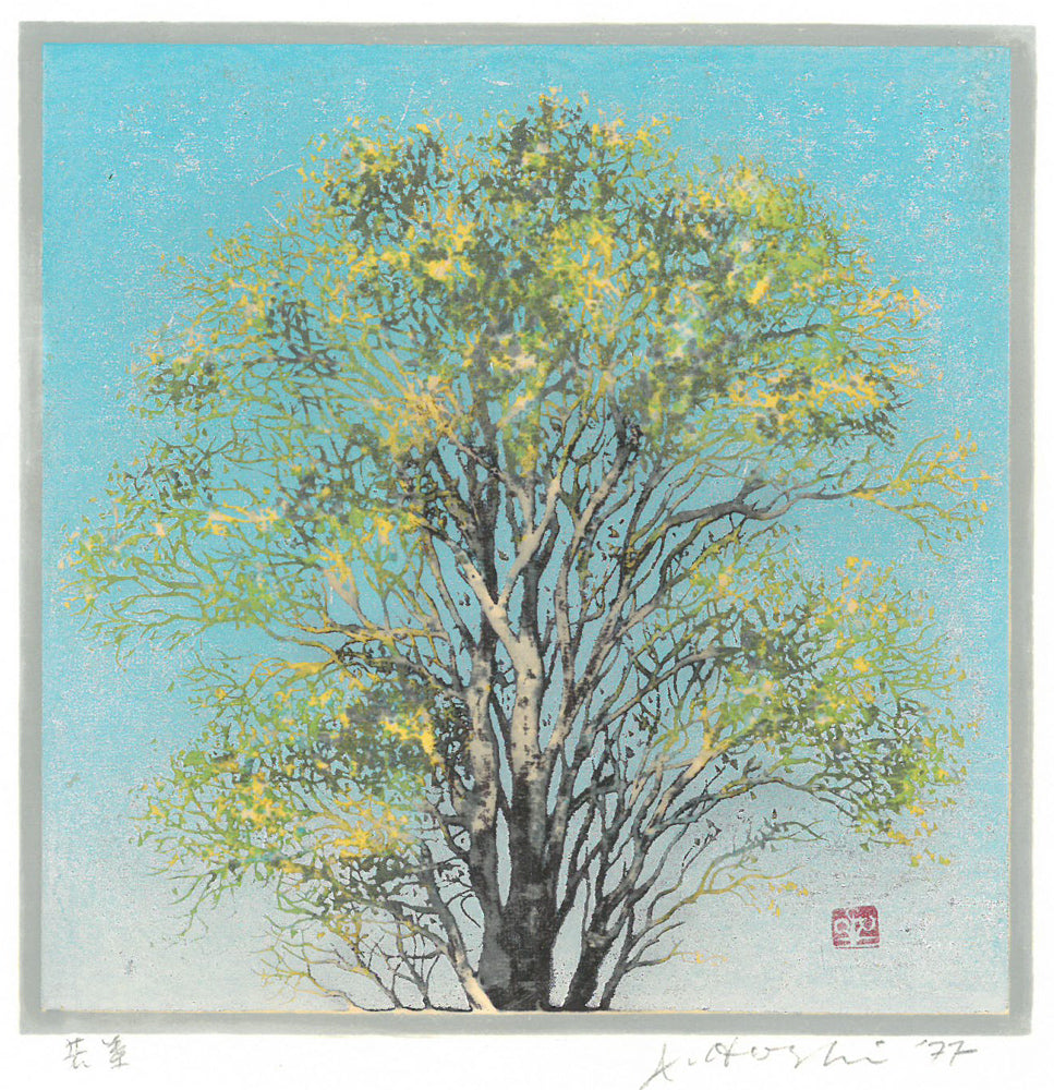 星襄一「若葉」木版画　作品全体画像