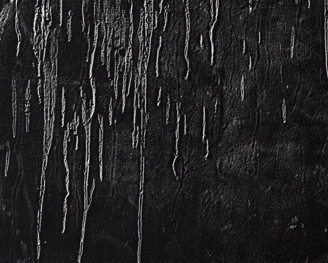 一原有徳「FH（2）」銅版画・50号（大型作品）　拡大画像4