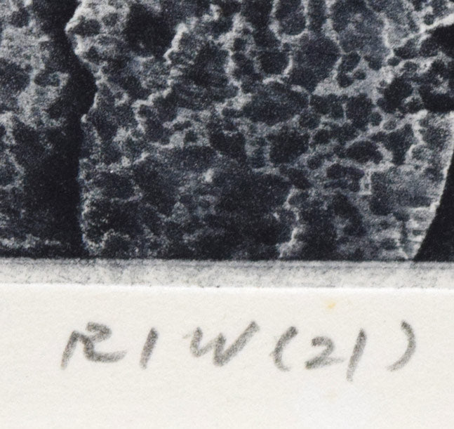 一原有徳「RIW（21）」銅版画　作品タイトル