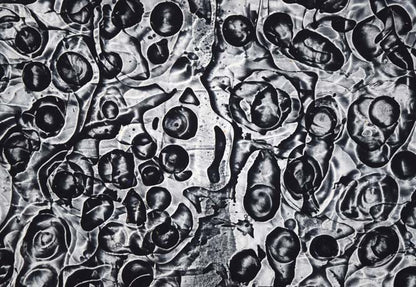 一原有徳「RIW（21）」銅版画　拡大画像2