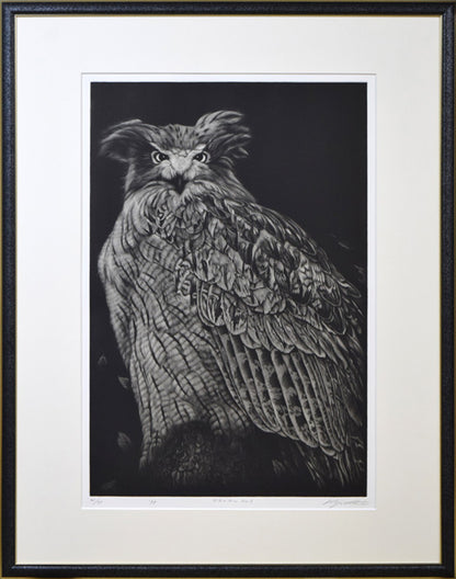 生田宏司「コタンコルカムイ（シマフクロウ）」銅版画（メゾチント）