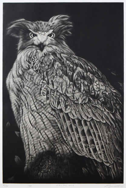生田宏司「コタンコルカムイ（シマフクロウ）」銅版画（メゾチント）　作品全体拡大画像