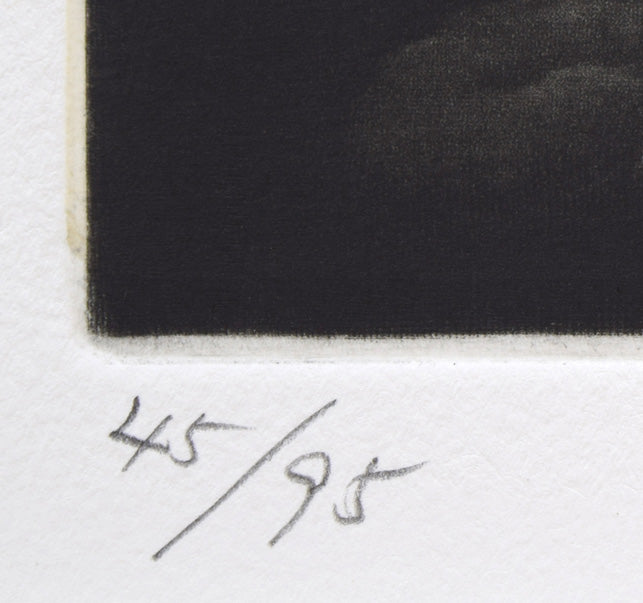 生田宏司「コタンコルカムイ（シマフクロウ）」銅版画（メゾチント）　限定番号（ed,45/95）