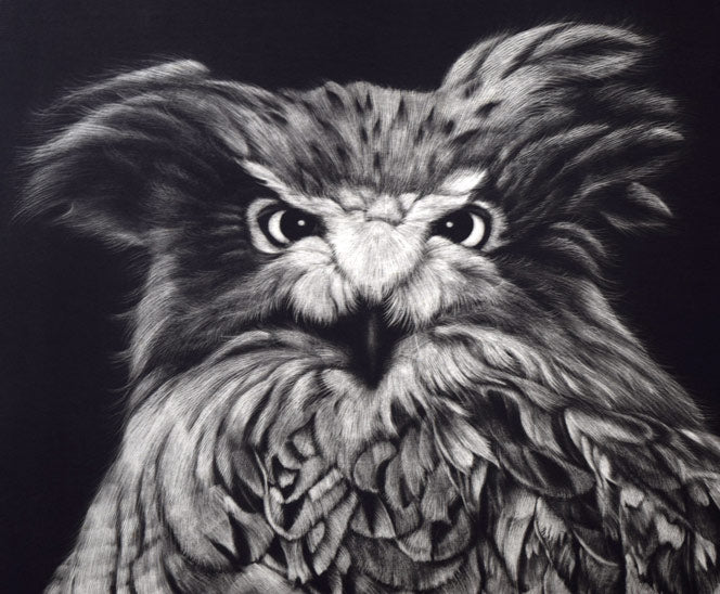 生田宏司「コタンコルカムイ（シマフクロウ）」銅版画（メゾチント）　拡大画像3
