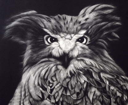 生田宏司「コタンコルカムイ（シマフクロウ）」銅版画（メゾチント）　拡大画像3