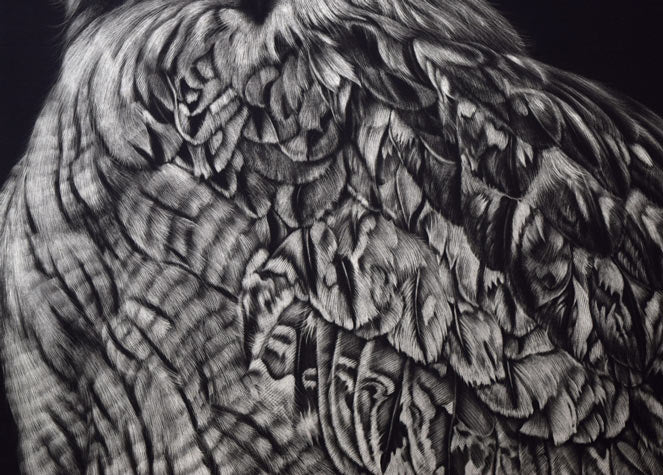生田宏司「コタンコルカムイ（シマフクロウ）」銅版画（メゾチント）　拡大画像4