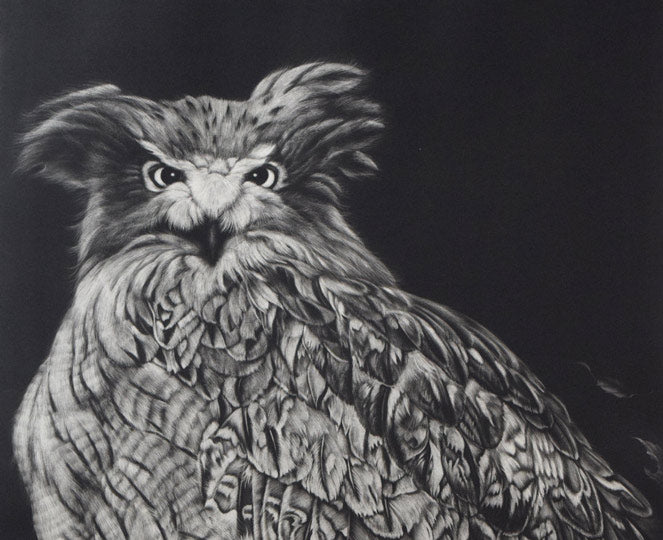 生田宏司「コタンコルカムイ（シマフクロウ）」銅版画（メゾチント）　拡大画像1