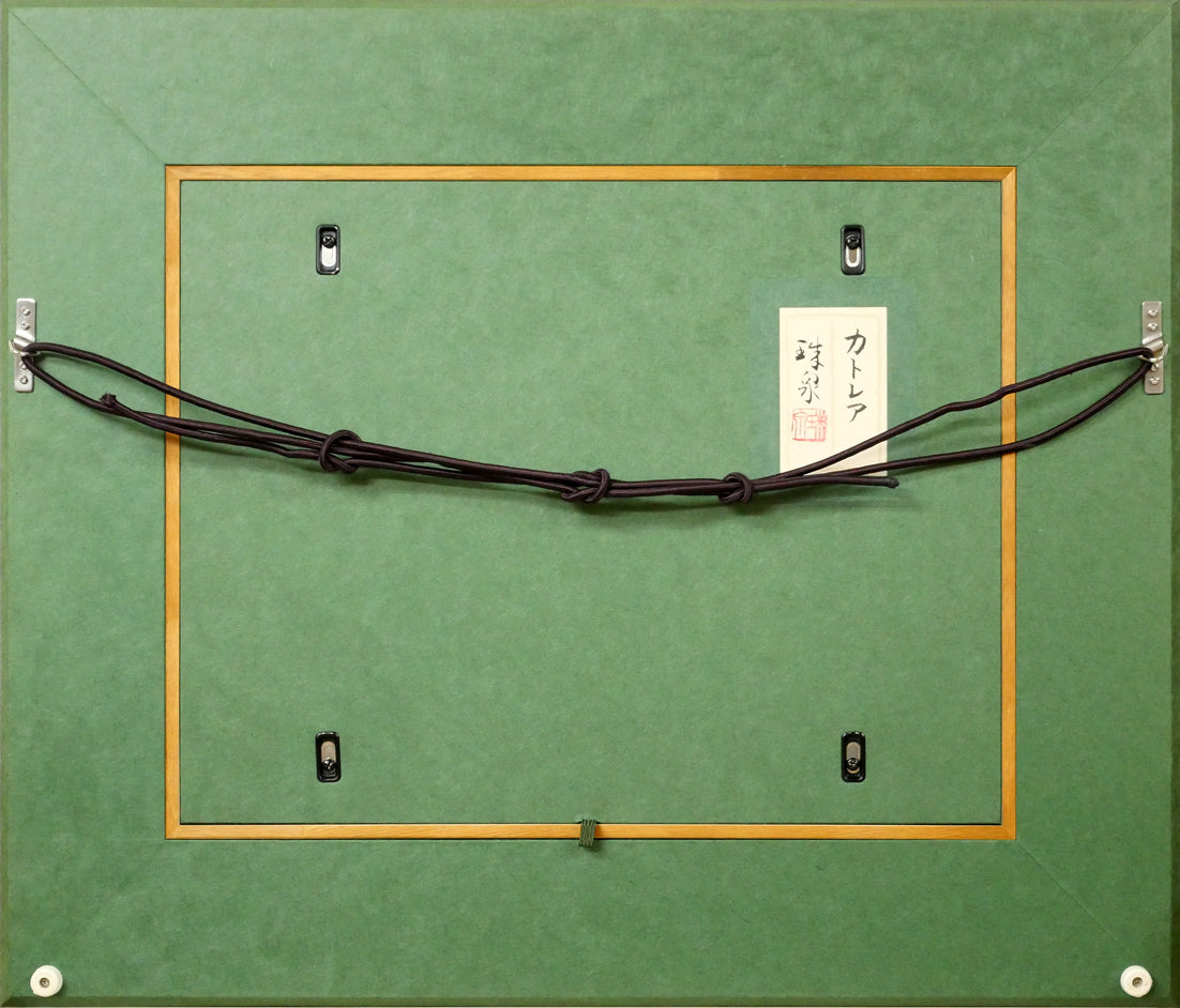 今井珠泉「カトレア」日本画・F6号　額縁裏側画像
