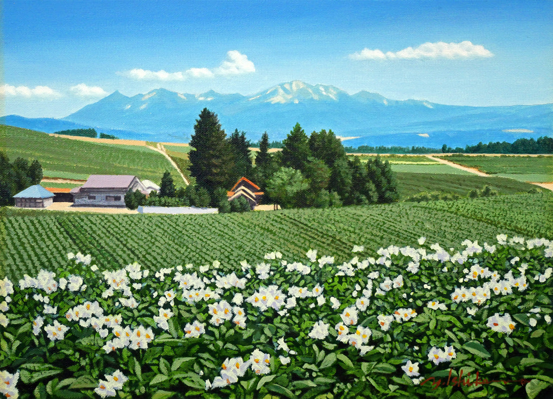 石川雄一「大雪と芋畑（美瑛）」油絵・F4号　作品全体画像