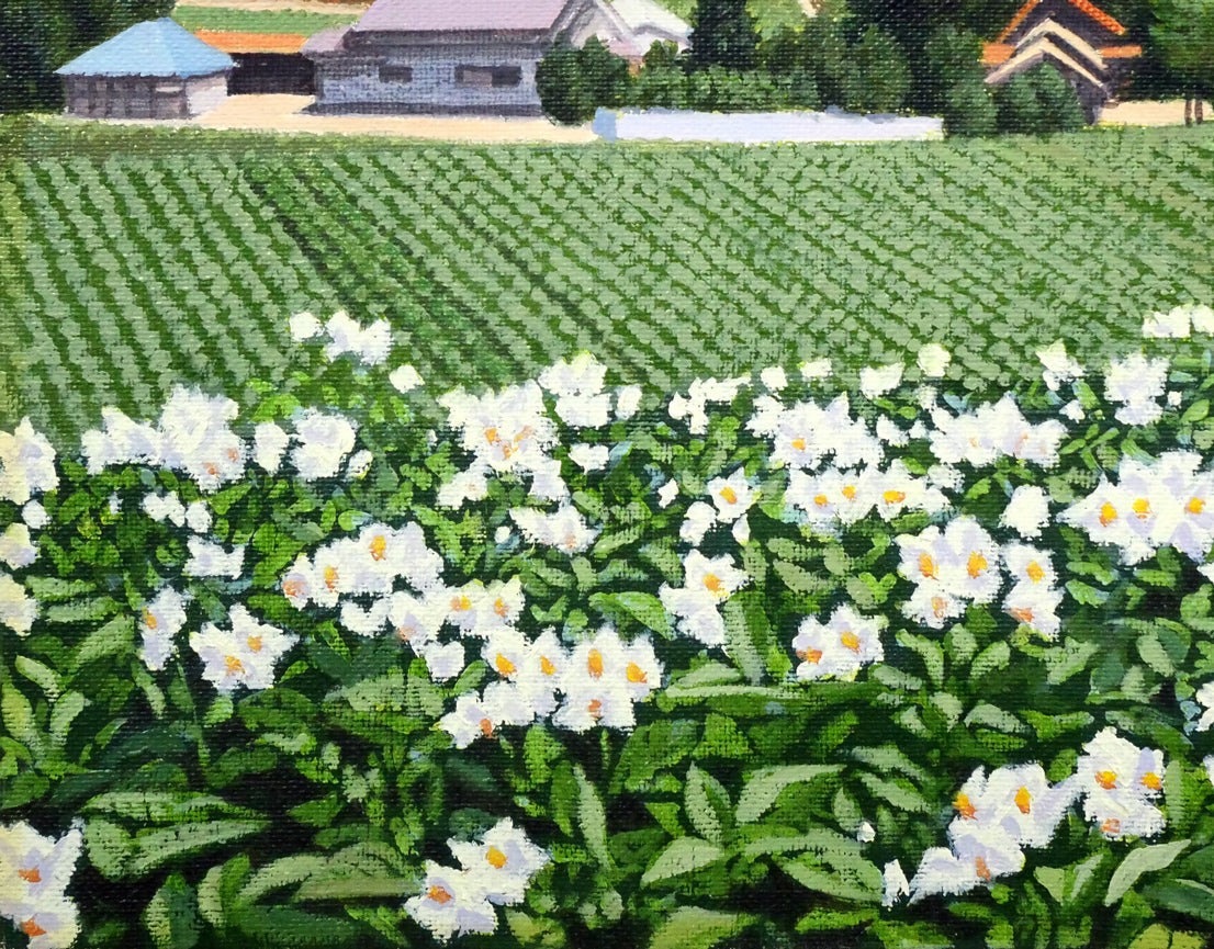 石川雄一「大雪と芋畑（美瑛）」油絵・F4号　拡大画像6