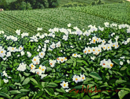 石川雄一「大雪と芋畑（美瑛）」油絵・F4号　拡大画像7
