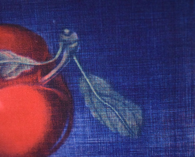 伊藤倭子「ぷらむ」銅版画　拡大画像3