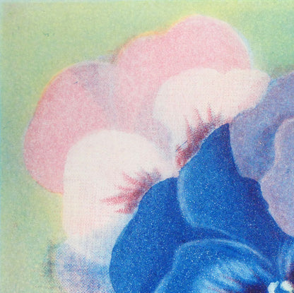 伊藤倭子「三色菫」銅版画　拡大画像1