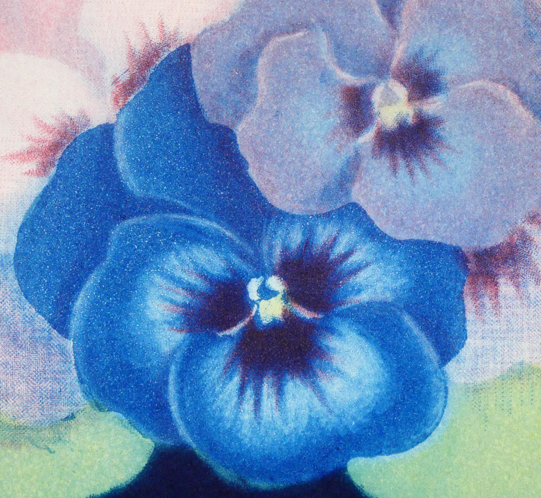 伊藤倭子「三色菫」銅版画　拡大画像5