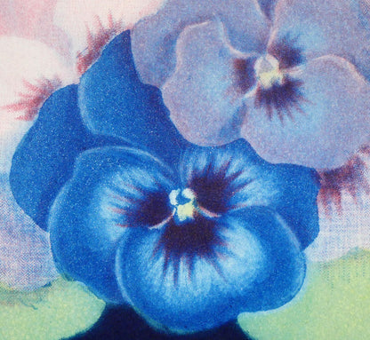 伊藤倭子「三色菫」銅版画　拡大画像5