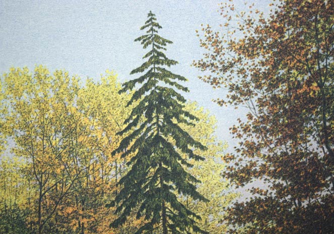 カール・ホフナー「Long　wood　gardens」ジクレー版画　拡大画像2