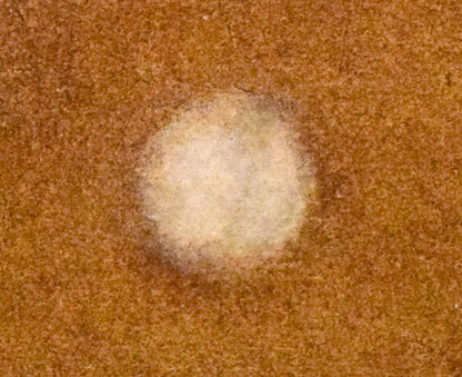 角浩「月光（ドンキホーテ）」油絵・SM　拡大画像3