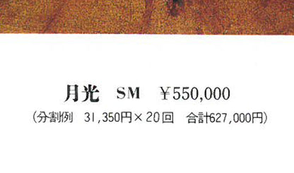 角浩「月光（ドンキホーテ）」油絵・SM　「一枚の繪」1992年4月号掲載雑誌　掲載ページ拡大画像3