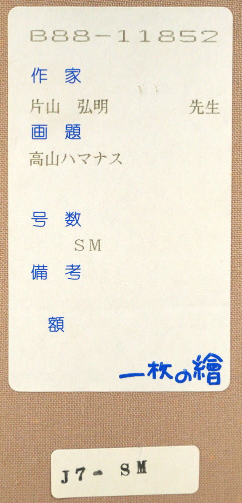 片山弘明「高山ハマナス」油絵・SM　箱書きシール拡大画像
