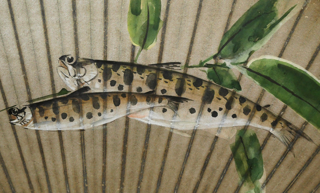 吉川章水「ザリガニとヤマメ」日本画・扇面　拡大画像4