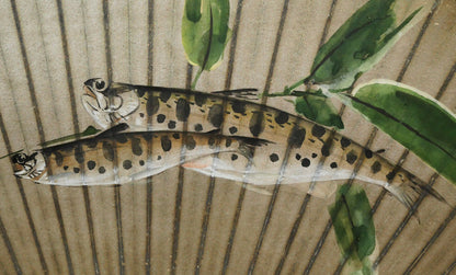 吉川章水「ザリガニとヤマメ」日本画・扇面　拡大画像4