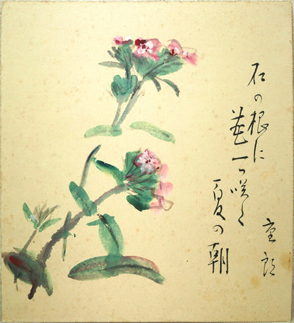 木田金次郎「花（句：佐藤彌十郎合作）」肉筆彩色画・色紙　作品全体画像