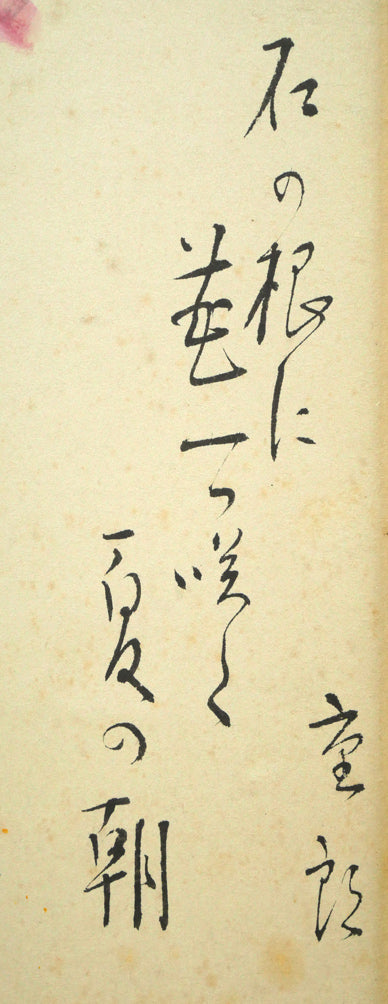 木田金次郎「花（句：佐藤彌十郎合作）」肉筆彩色画・色紙　俳句部分（石の根に　花一つ咲く　夏の朝　号：重郎）