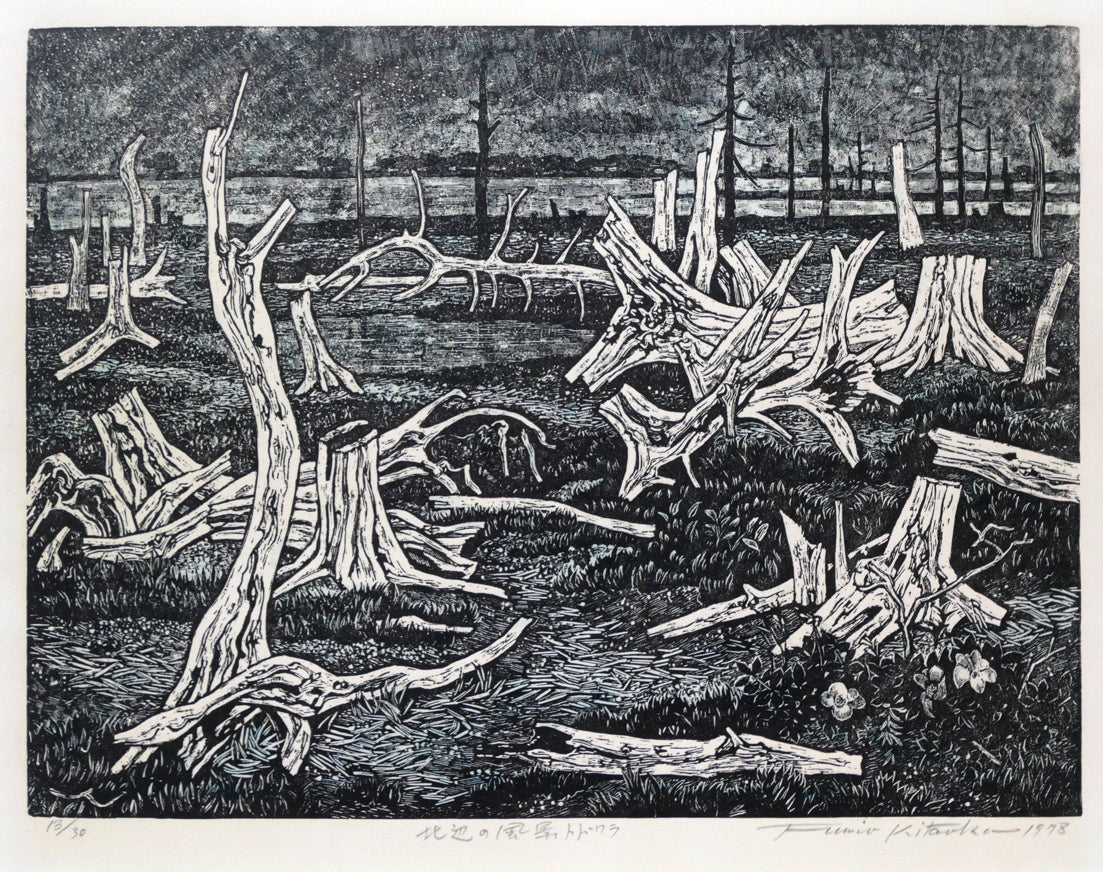 北岡文雄「北辺の風景トドワラ」貴重な木口木版画　作品全体拡大画像