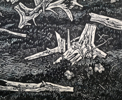 北岡文雄「北辺の風景トドワラ」貴重な木口木版画　拡大画像4