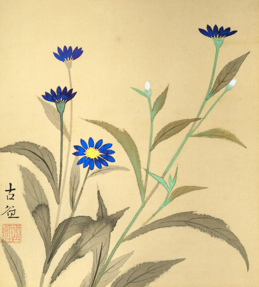 小林古径「草花（共箱）」絹本に彩色　作品全体画像