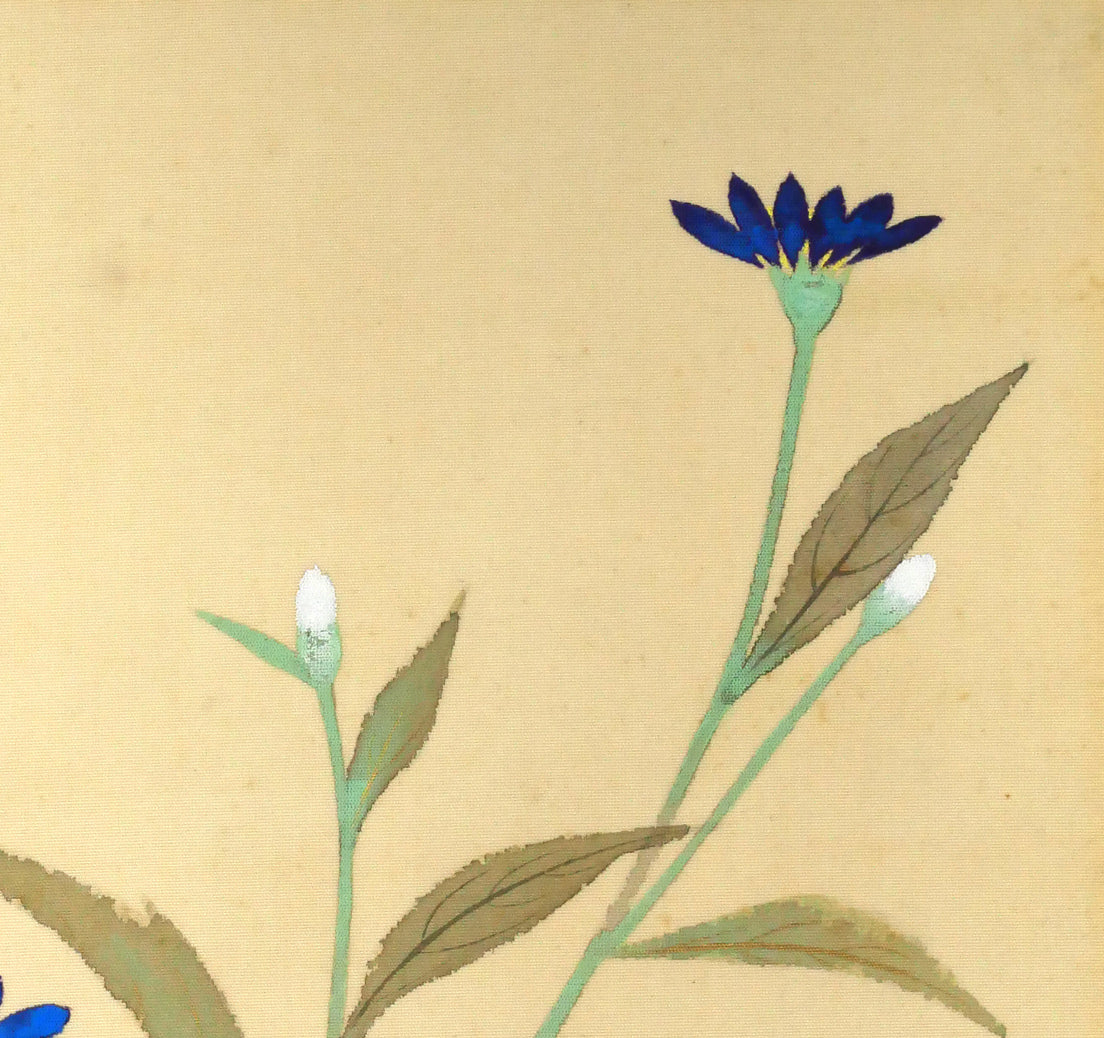 小林古径「草花（共箱）」絹本に彩色　拡大画像2